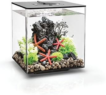 Compact Black Cube 30 Liter LED Fish Tank