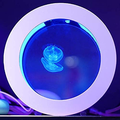 Jellyfish Aquarium with Smart Circulation and Five-Stage Filtration
