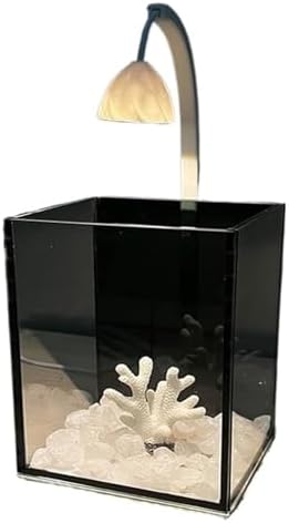 Illuminated Glass Desktop Bowl for Small Goldfish Display