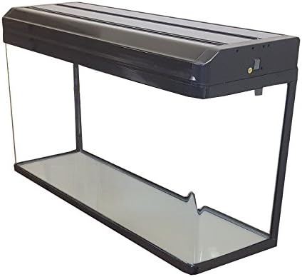 120L 80cm Aquarium with LED Hood and Filtration