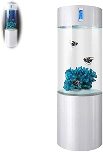 Tall Cylindrical Aquarium with Integrated Ecological Filtration