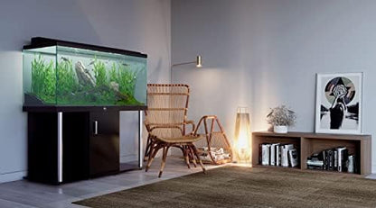 Professional 240L Glass Aquarium with Cabinet and Lid