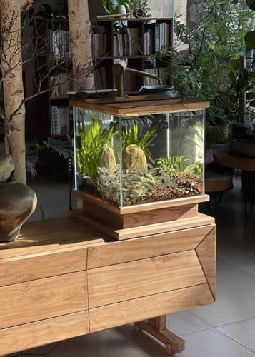 Vintage Wooden Betta Tank with Self-Cleaning Design