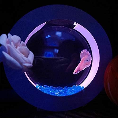 Jellyfish Aquarium with Smart Circulation and Five-Stage Filtration