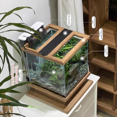 Vintage Wooden Betta Tank with Self-Cleaning Design