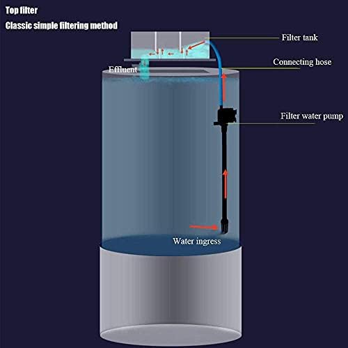 Tall Cylindrical Aquarium with Integrated Ecological Filtration