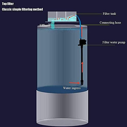 Tall Cylindrical Aquarium with Integrated Ecological Filtration