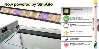 Urban Oak Aquarium with Modern Cabinet and LED Lighting